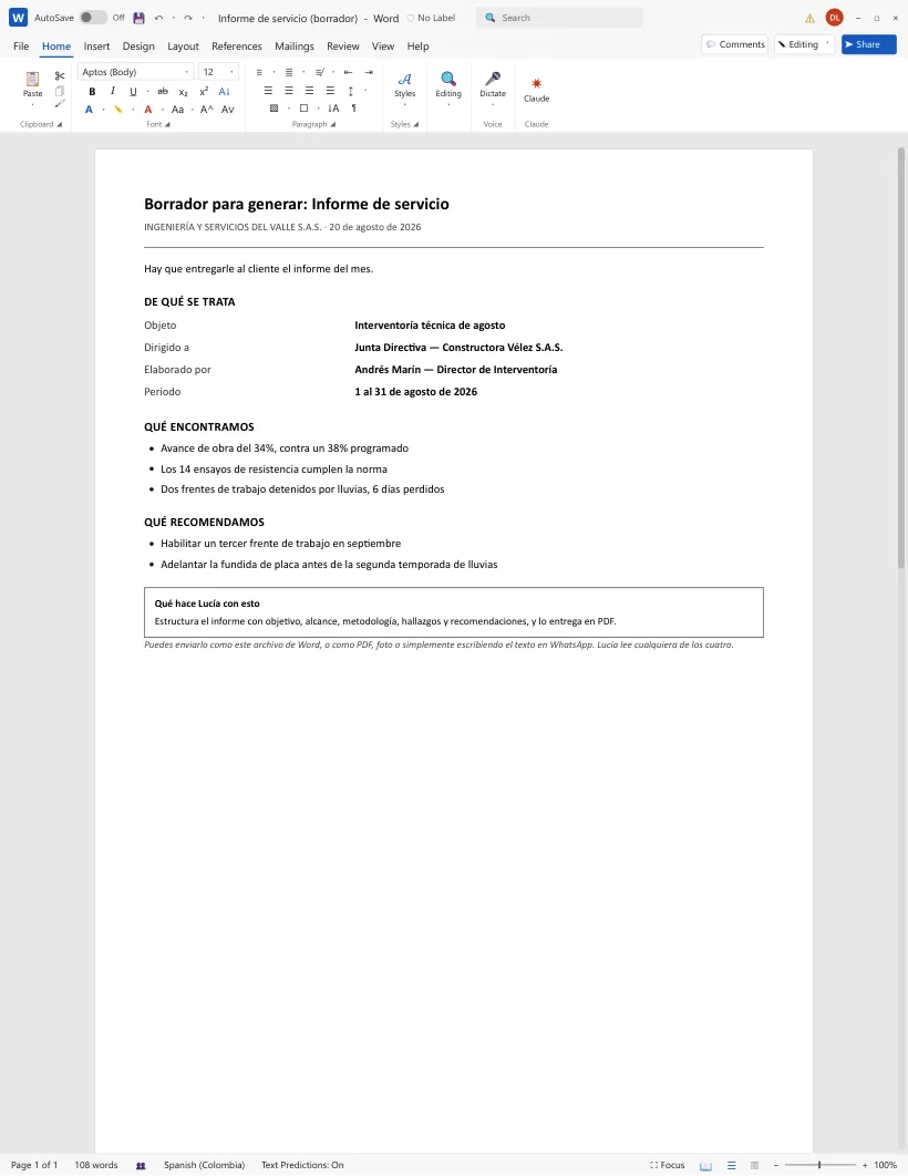 Borrador de informe