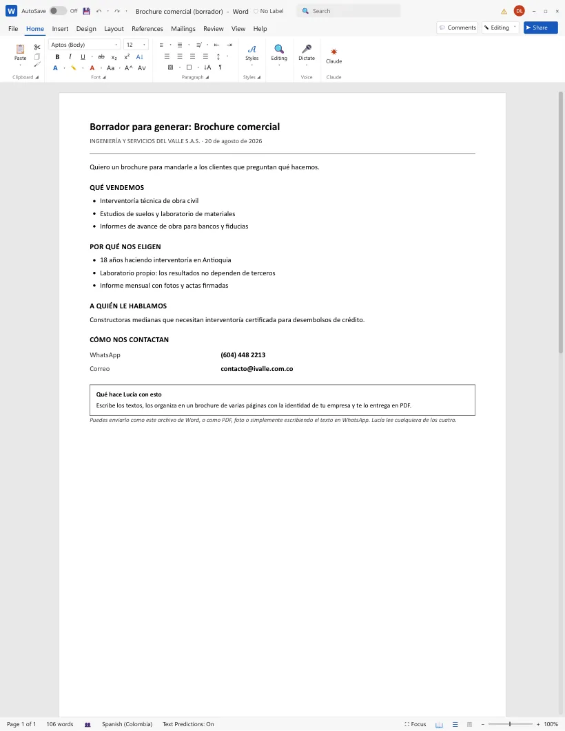 Borrador de brochure